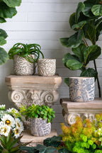 Set of 2 Cement Planters with Floral Motif – 2 Designs