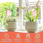 Pink Tulip Automatic Plant Watering Balls – Self-Watering Dripper for Indoor & Outdoor Plants