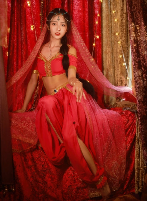 Arabian Princess Belly Dance Costume – 4-Piece Halloween & Cosplay Outfit