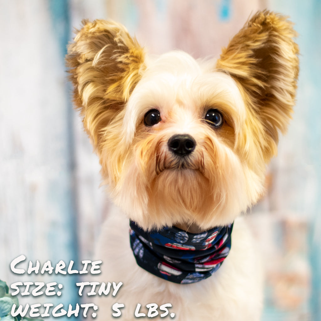Patriotic Dog Scruff – USA Flag Pet Neck Scarf