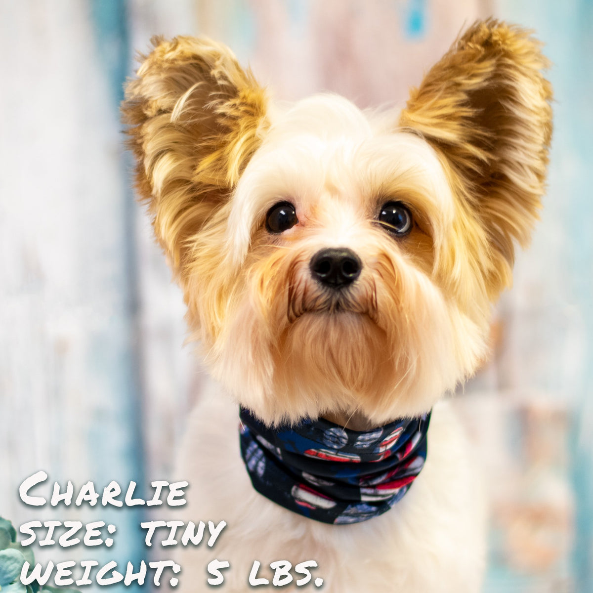 Patriotic Dog Scruff – USA Flag Pet Neck Scarf